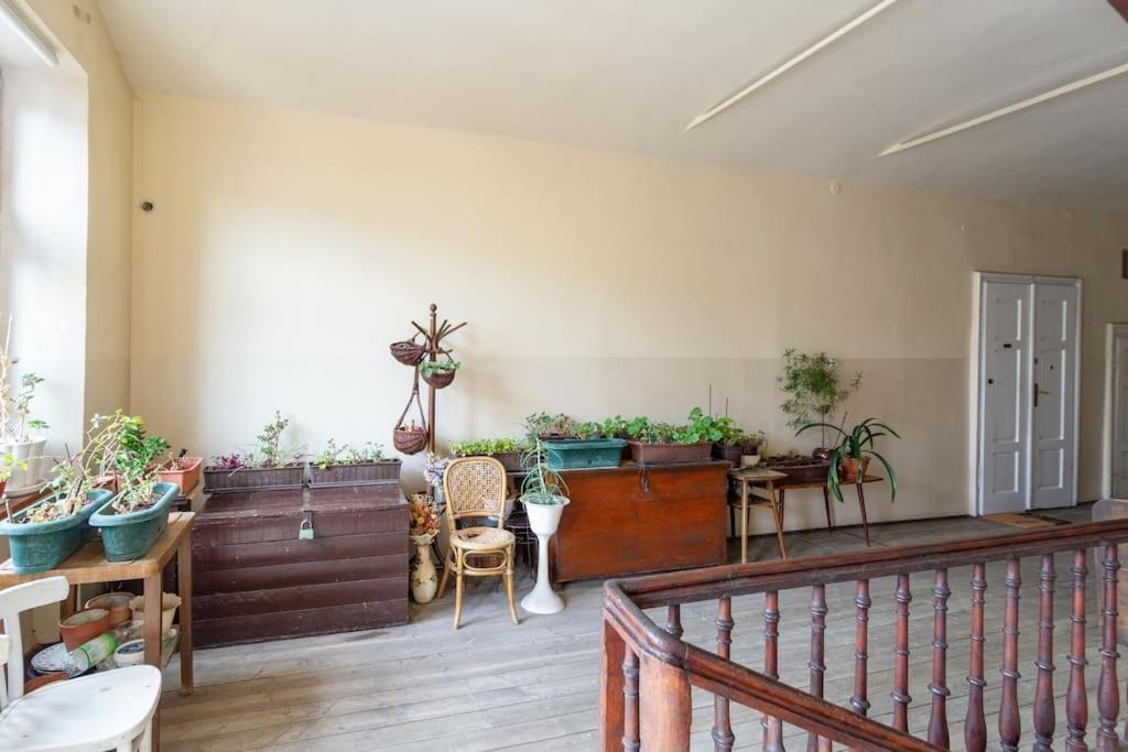 Essence Cracow Golden Location! Apartament *
